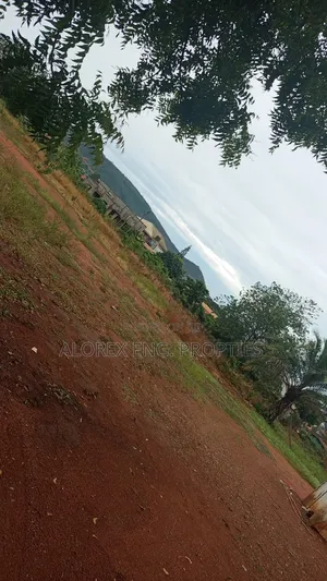 Titled Roadside Land for Sale at Danfa