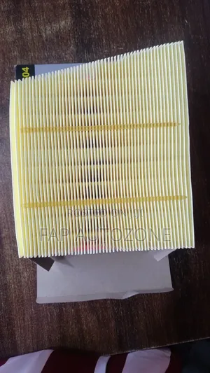10255. Original FVP Air Filter Imported From Usa.