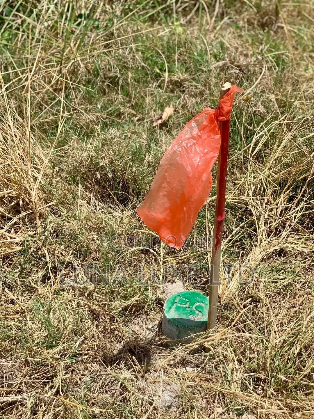 Land Survey