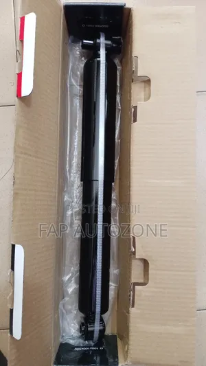 10289. Original FCS Shocks Absorber From Usa