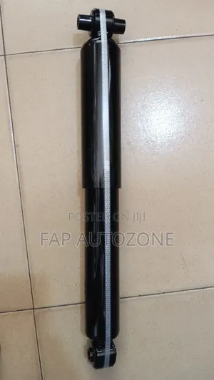 10289. Original FCS Shocks Absorber From Usa