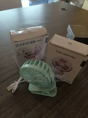 Clip Light Fan