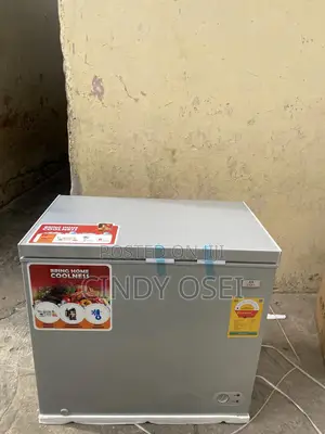 Showstopping Zara 202liters Chest Freezer