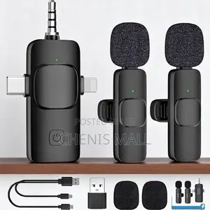Portable/Mini/Wireless Microphone