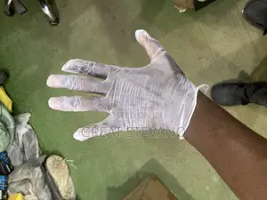 Vinyl Disposal Hand Gloves