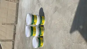 Waterproof Paint