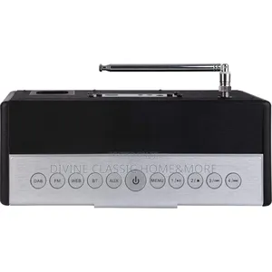 Telestar S 20i Internet Radio/ Fm/Dab+