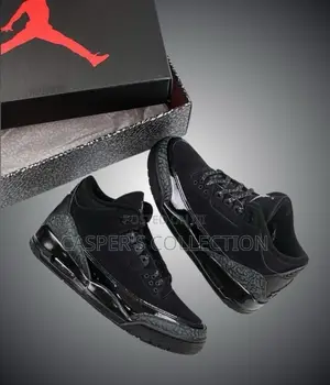 Air Jordan 3 Black Cat