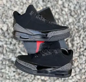 Air Jordan 3 Black Cat