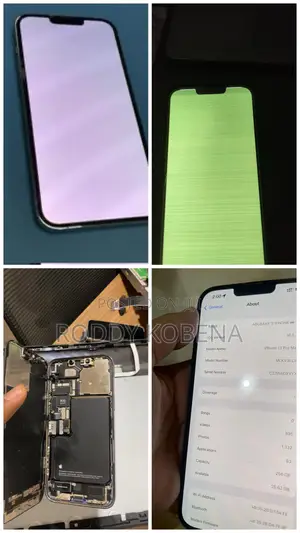 13 Pro Max White Screen Repair