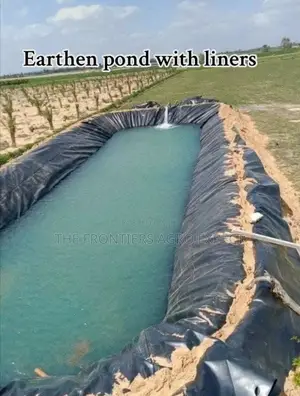 All Kinds of Fish Pond Construction