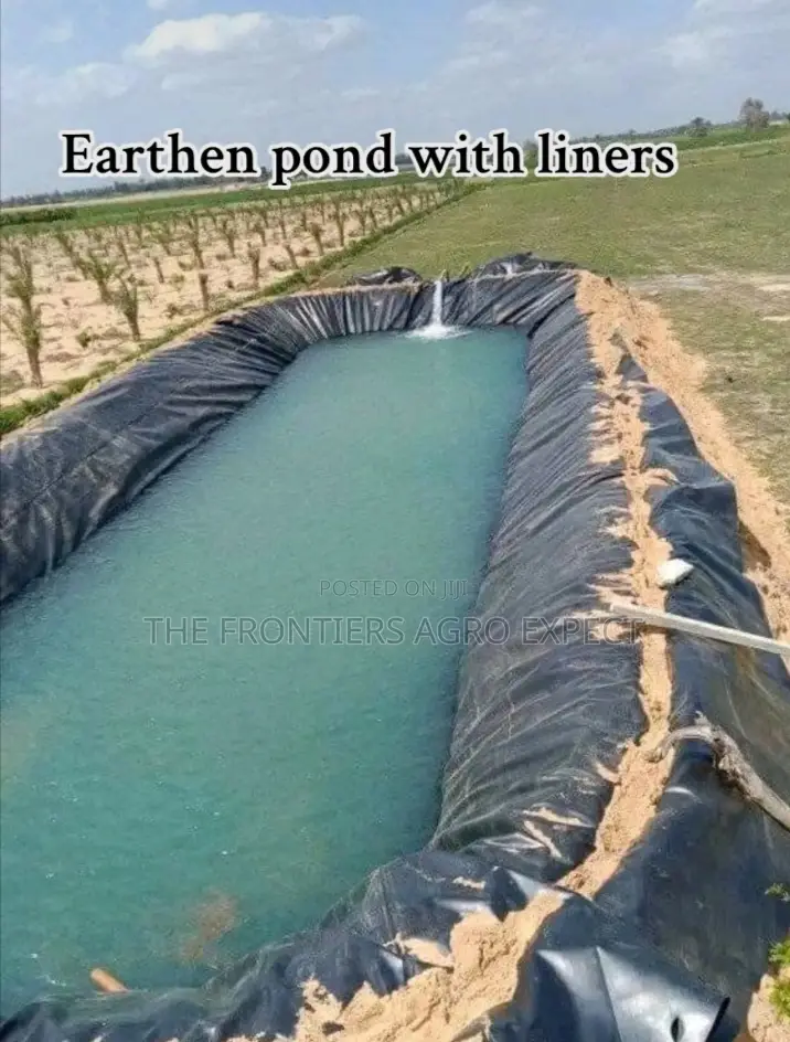 All Kinds of Fish Pond Construction