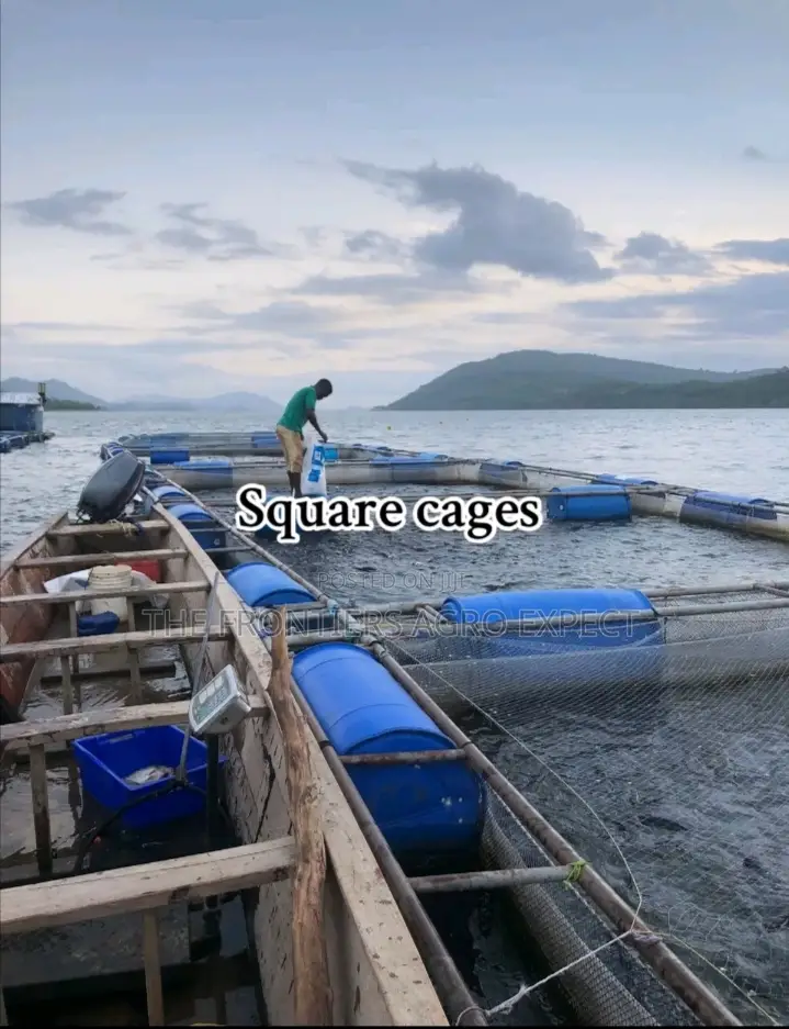 All Kinds of Fish Pond Construction