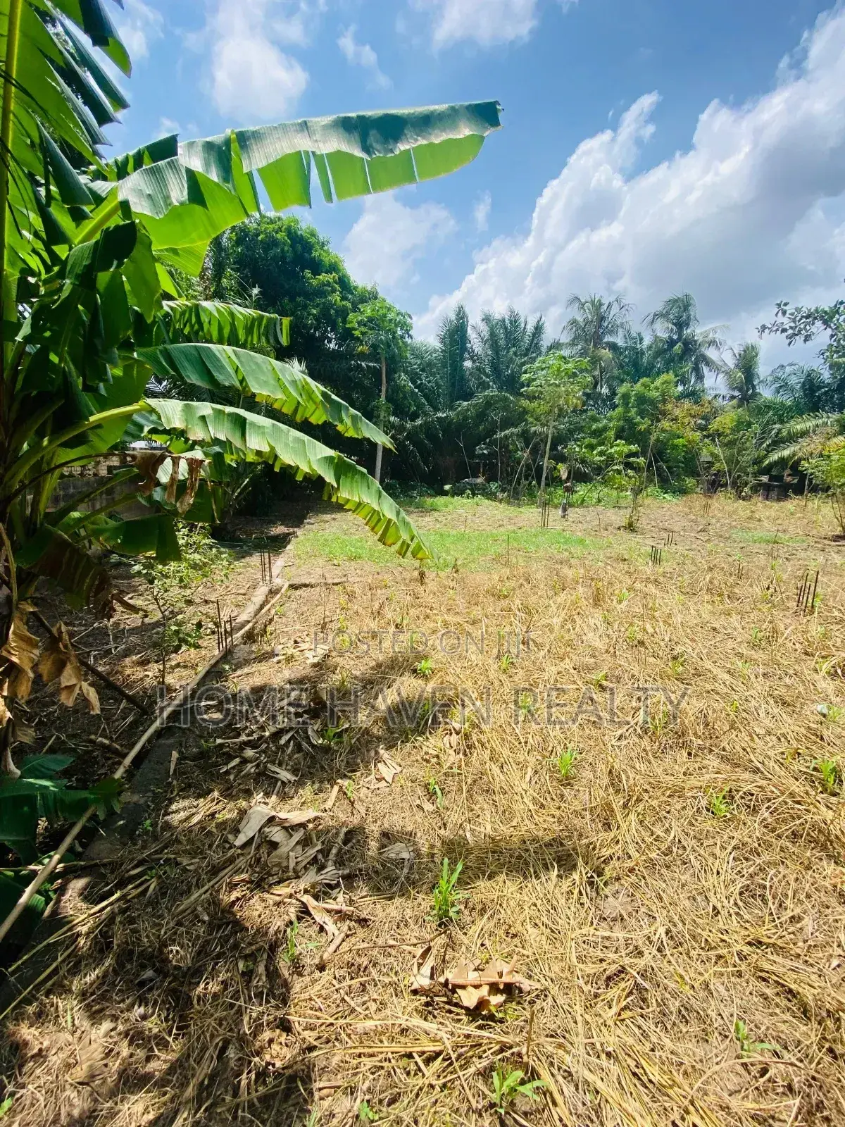 One Acre for Sale at Westland