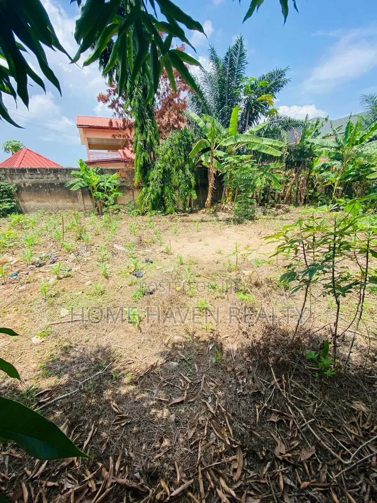 One Acre for Sale at Westland