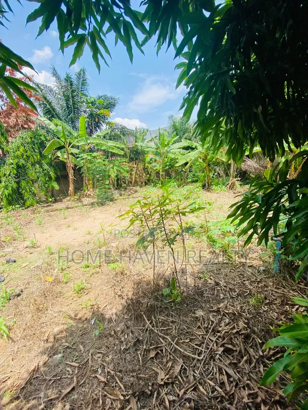 One Acre for Sale at Westland