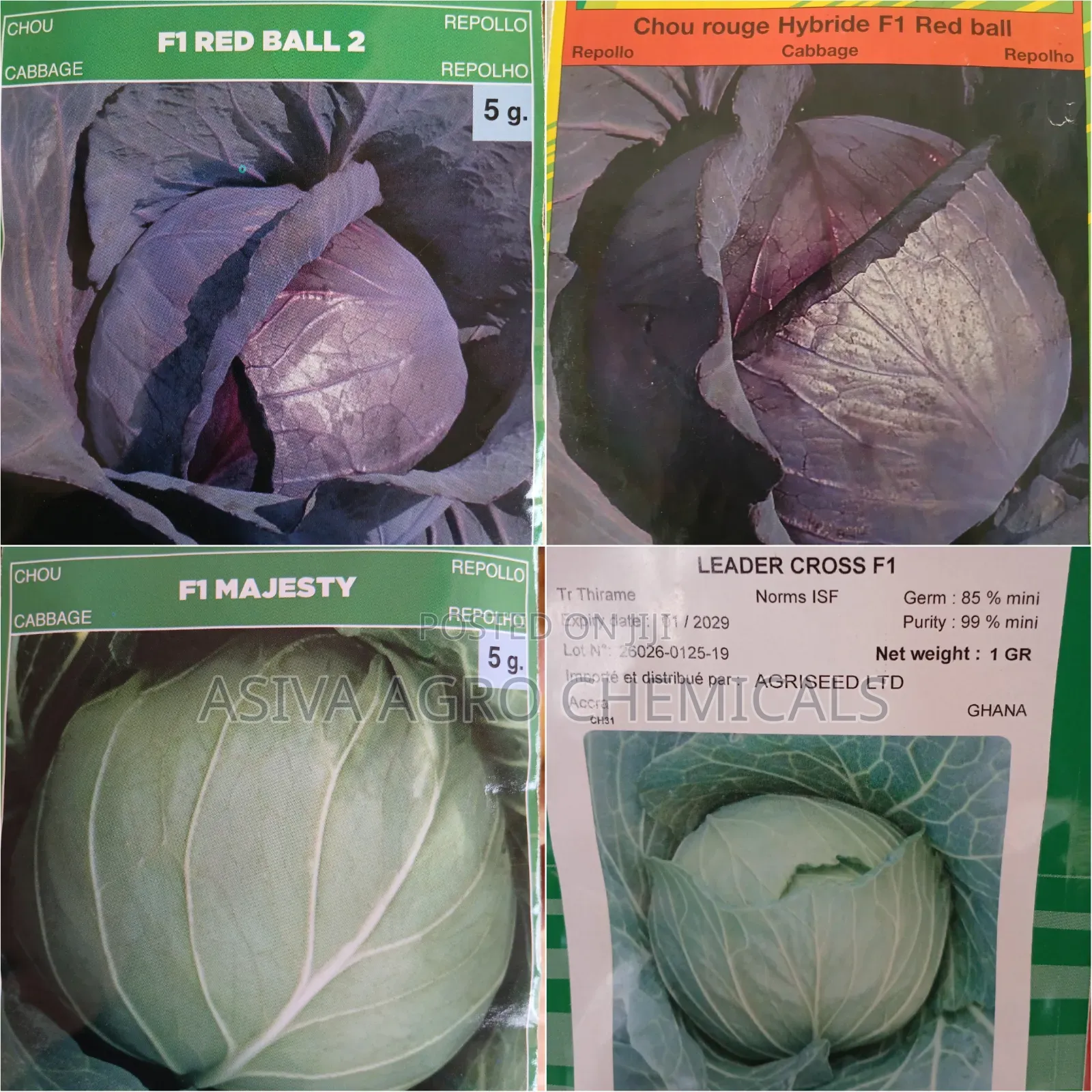 Cabbage(Red and Green) Seeds