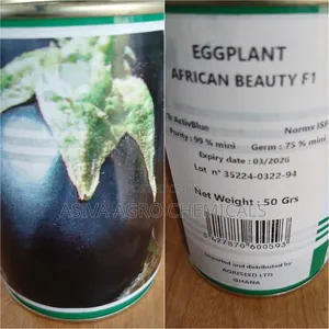 Aubergine Seeds