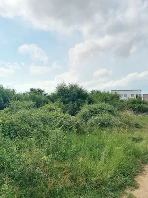 Fullplot Road Side Land 4sale Around Regimanuel Est,Spintex