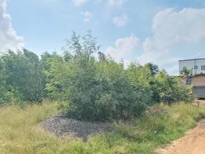 Fullplot Road Side Land 4sale Around Regimanuel Est,Spintex