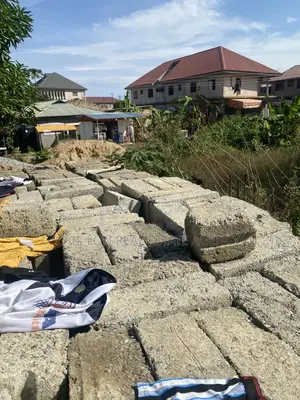 Genuine Land for Sale.
