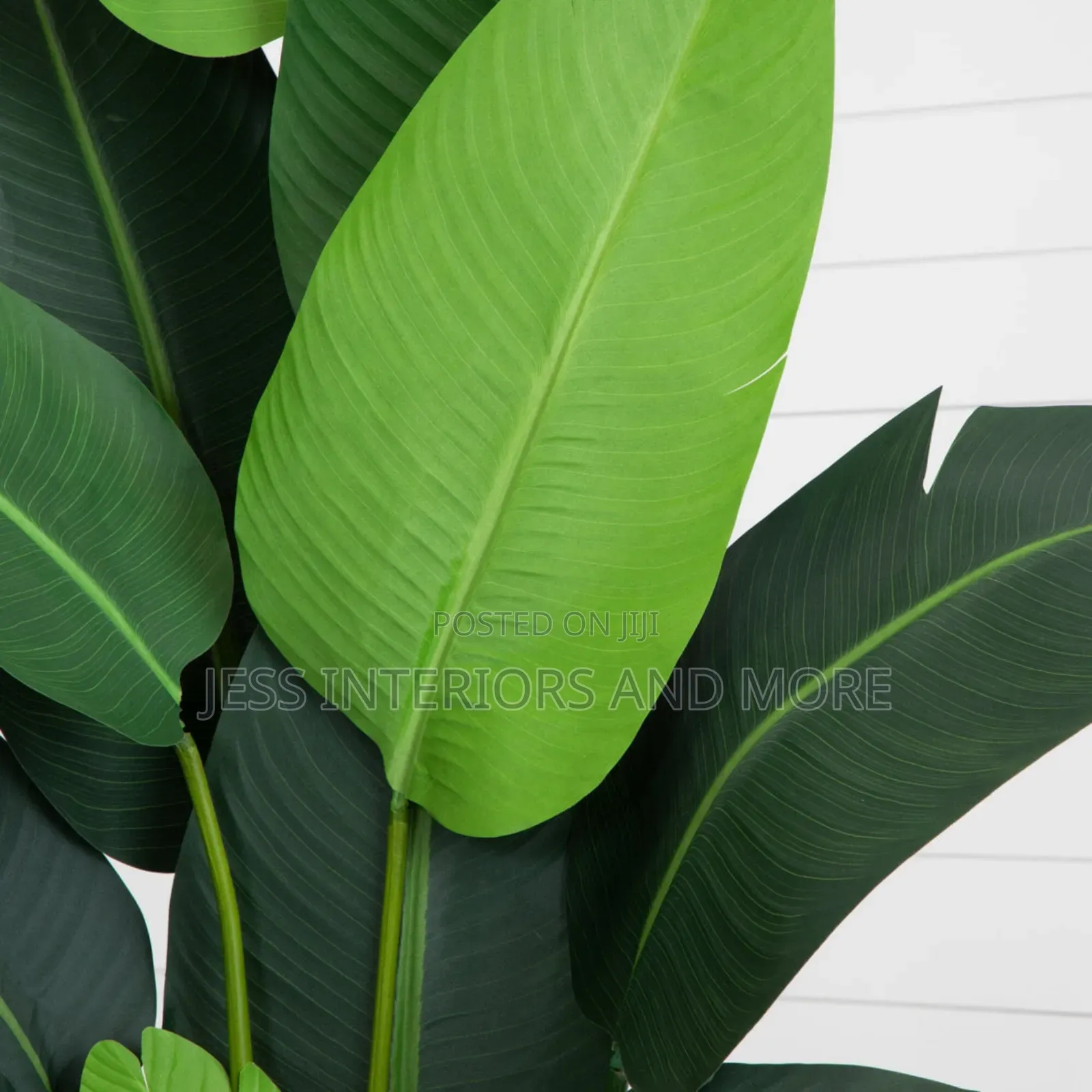 Artificial Ornamental Plant (160cm)