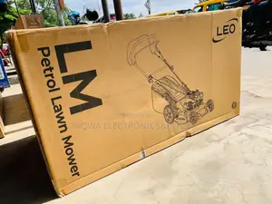 2 Years Warranty Leo 5.5hp Lawn Mower