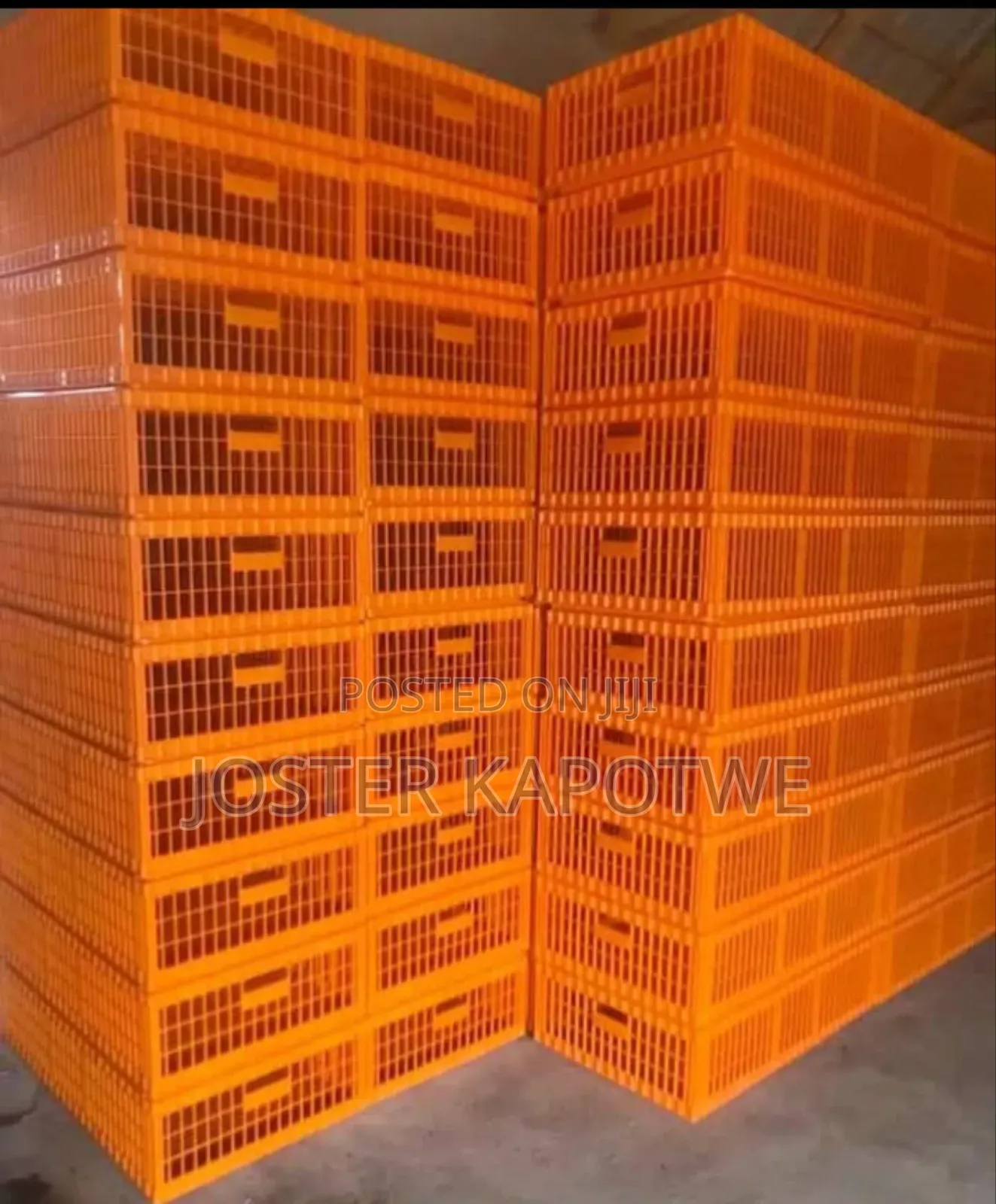 Chicken Transfer Box Is Available