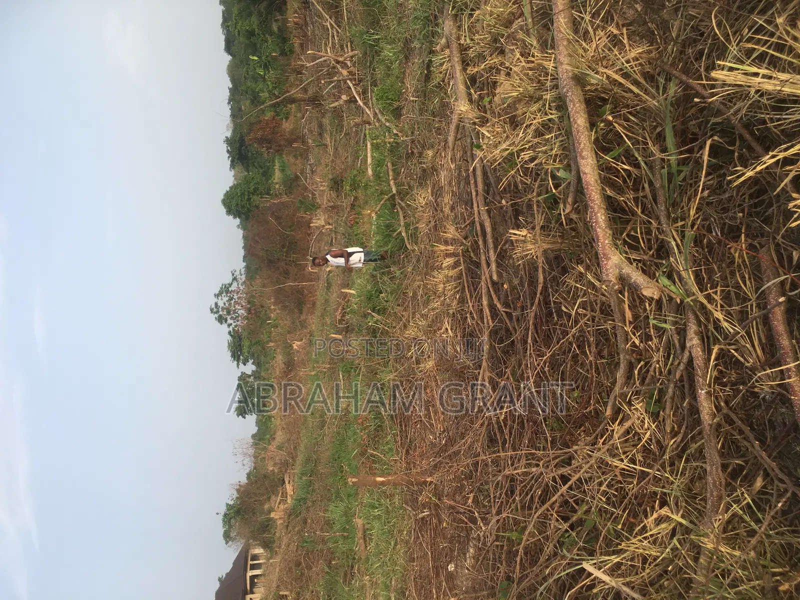 Plot Land for Sale at Ejisu Atia Kotie