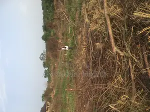 Plot Land for Sale at Ejisu Atia Kotie