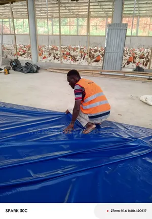 Poultry Coop and Cage Setup