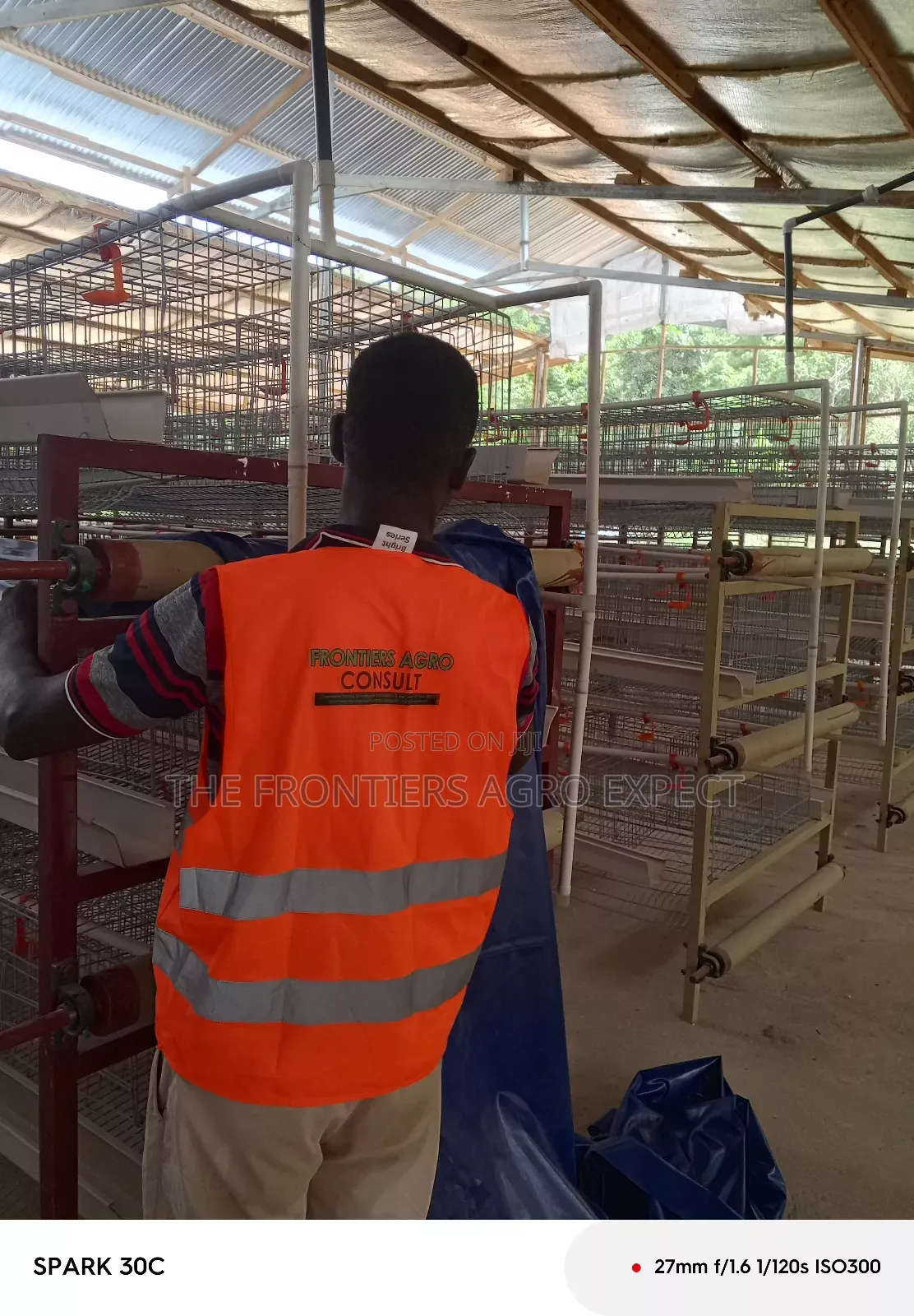 Poultry Coop and Cage Setup