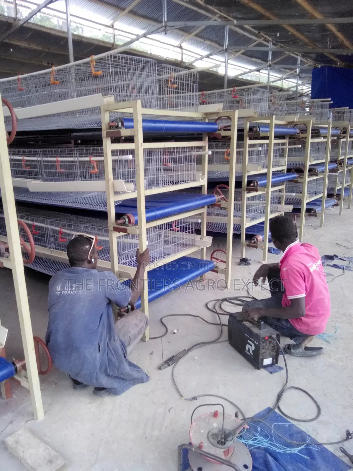 Poultry Coop and Cage Setup