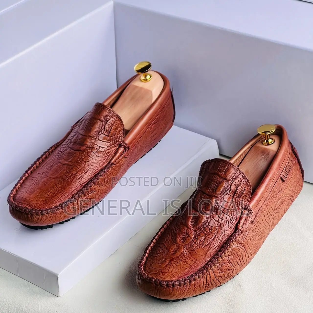 Lacoste Shoe / Brown