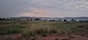 One Plot of Land