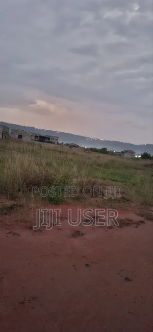 One Plot of Land