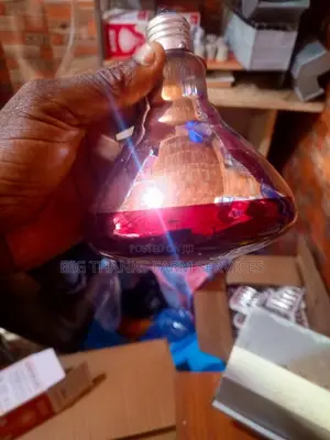 Heater Bulbs And Holders