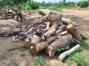 Firewood for Sale