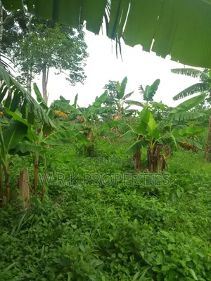 Plots of Land for Sale