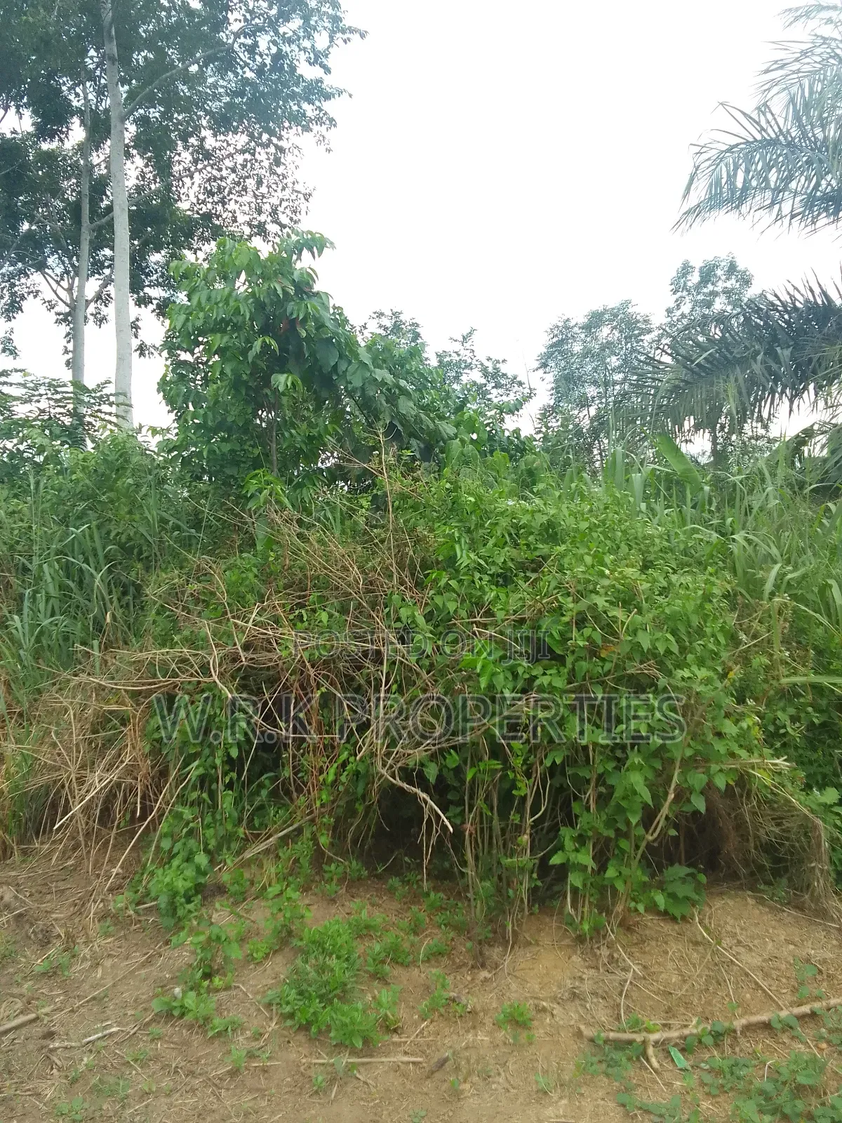 Plots of Land for Sale