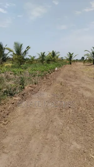 Own a Land Today at Panfrokrom