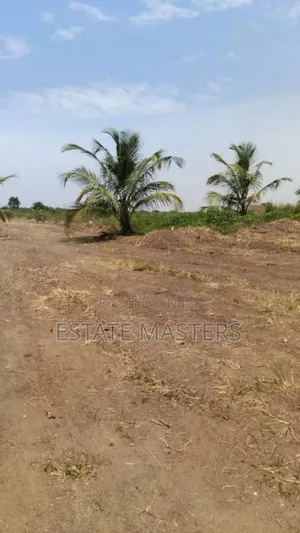 Affordable Lands at Palm Hills( Panfrokrom)