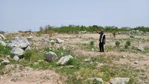 One Plot of Land