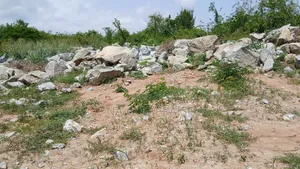 One Plot of Land