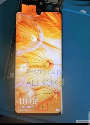 Huawei P30 Pro Screen. With Small Dot