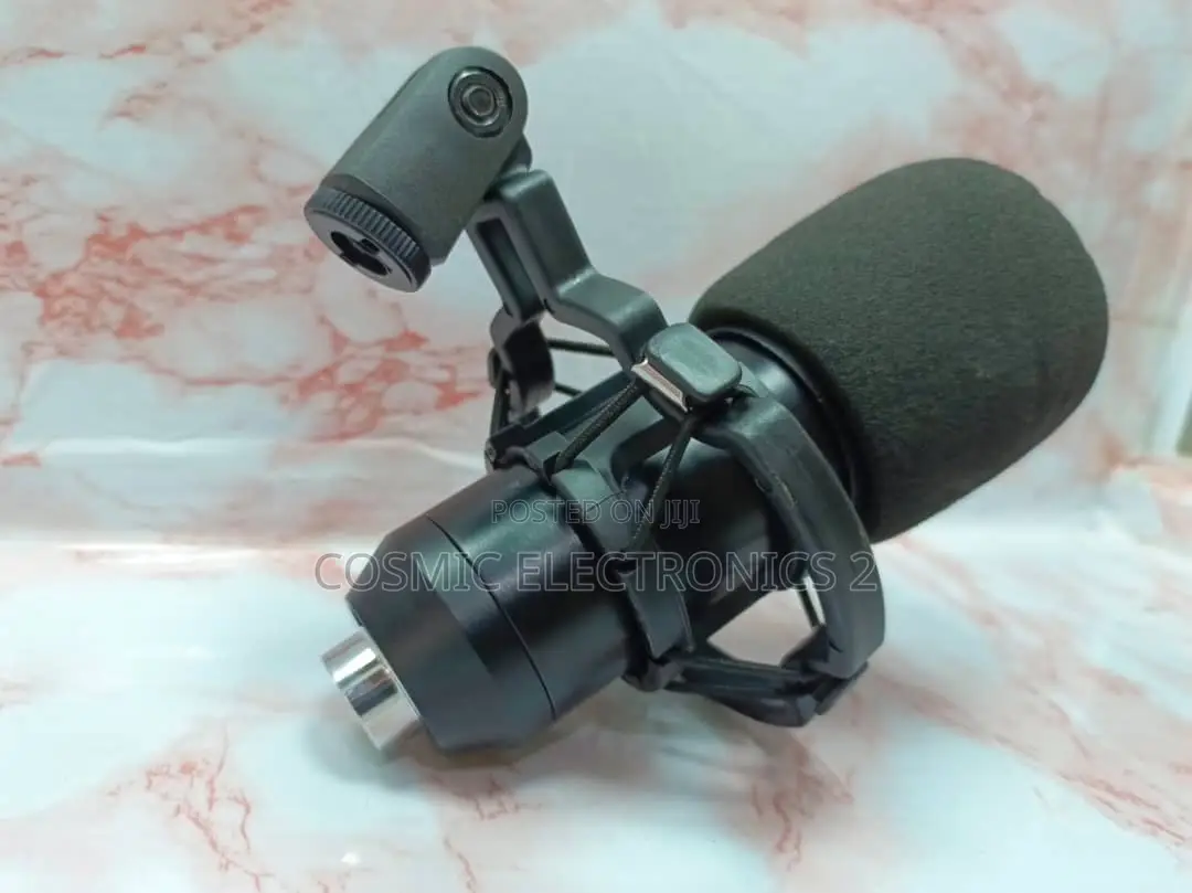 Professional Condenser Microphone.