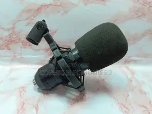 Professional Condenser Microphone.