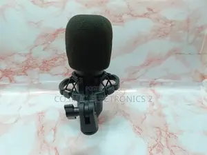 Professional Condenser Microphone.