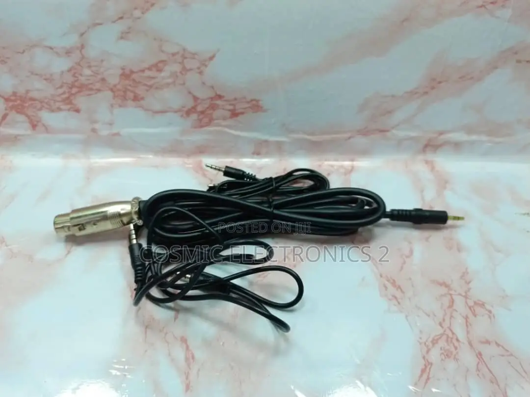 Professional Condenser Microphone.