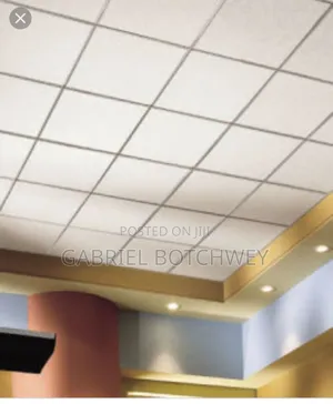 Photo - Acoustic Ceiling